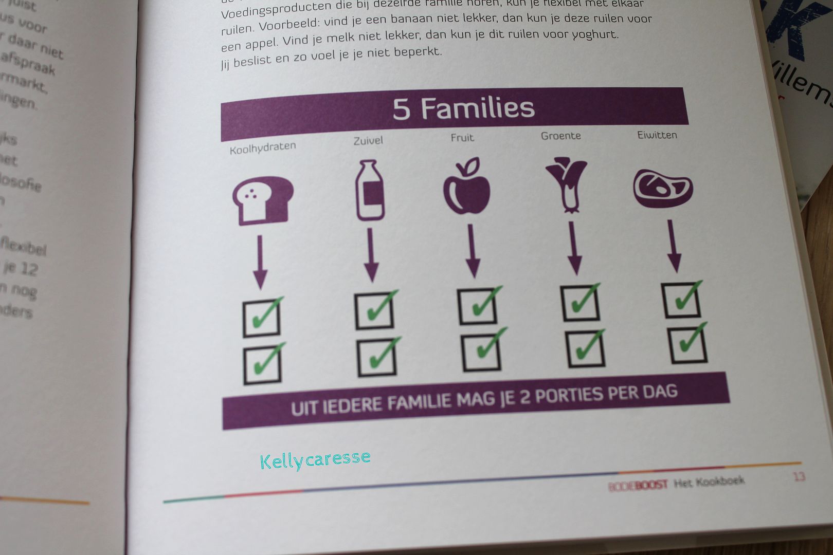 bodieboost het kookboek en dagboek