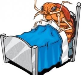 how to kill termites