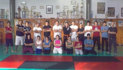 artes marciales mixtas