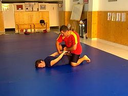 artes marciales mixtas