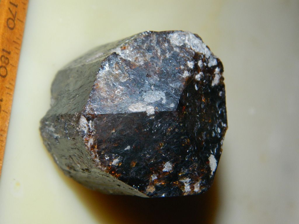  photo DSCN0600_zpslq3otsrn.jpg