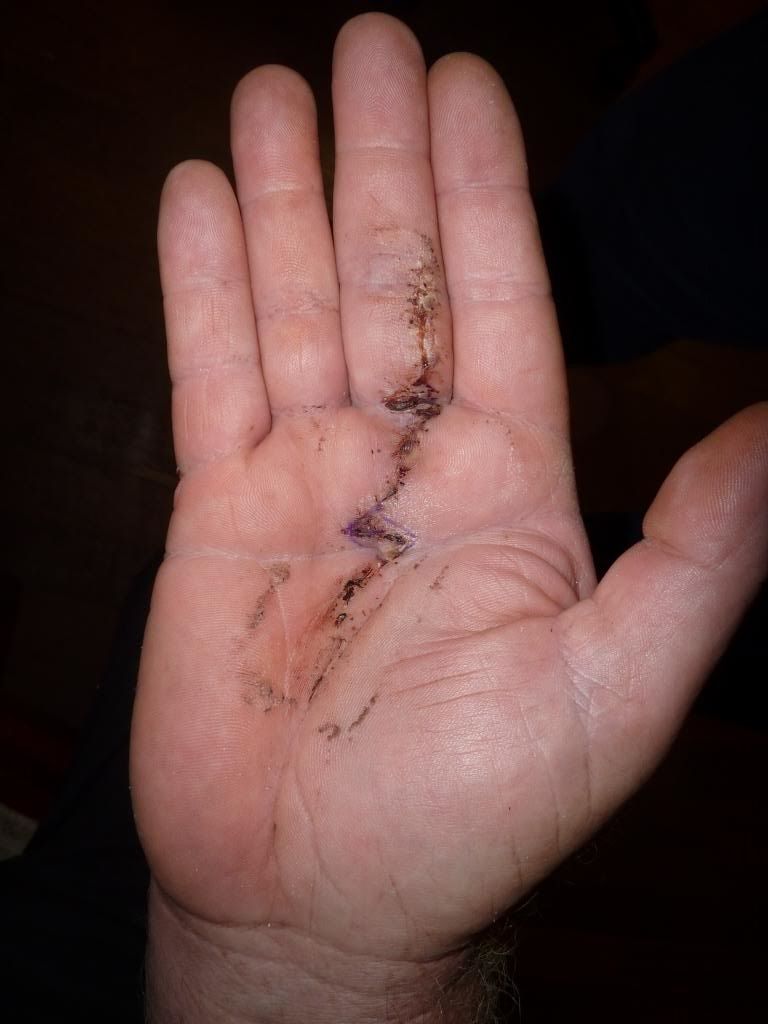  photo faad9773-af77-4718-850d-377691aaccd2_zpsa4v0cmw3.jpg