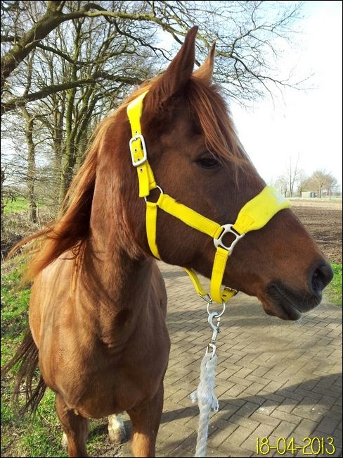 Afbeelding