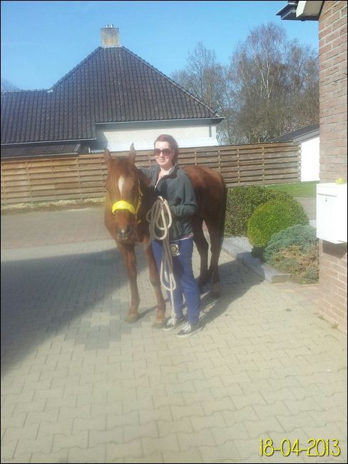 Afbeelding