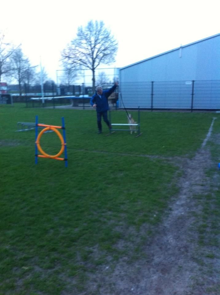 Hoog Hoog