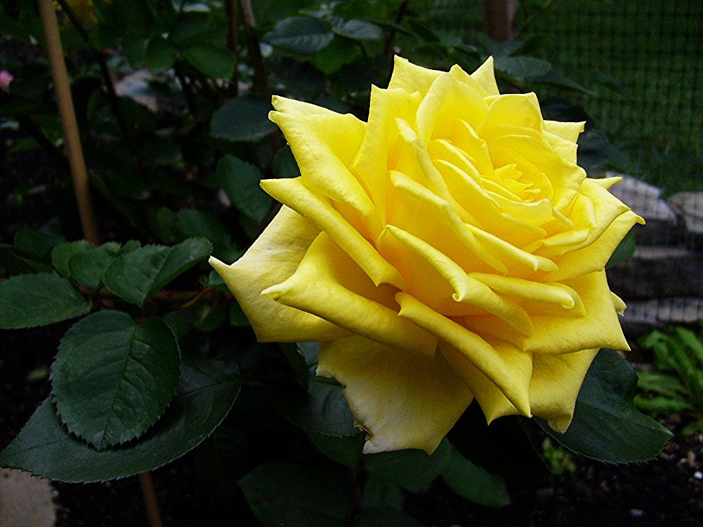  photo 13195bf0-550f-4a6f-959b-17819ef69a23_zpse3817706.jpg