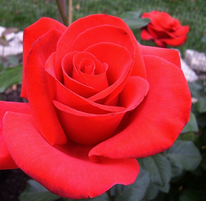  photo 1998d84c-ed91-4622-97ba-e8326ba9f7f8_zpsefcb01f7.jpg