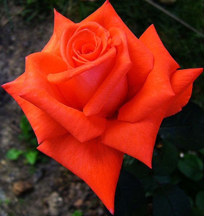  photo liverpool_zps52360e93.jpg