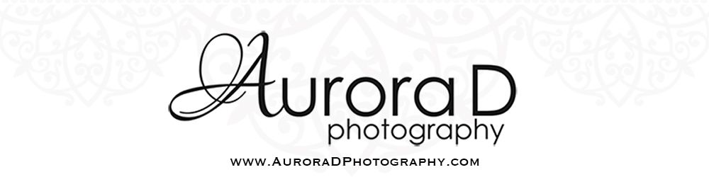 Aurora D Photography