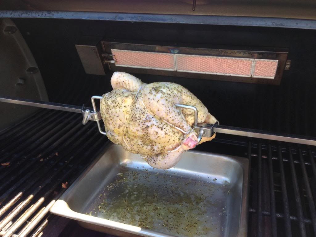 Chicken1_zps54fc8f25.jpg