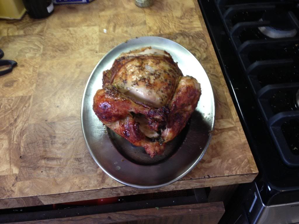 Chicken3_zpseec4d03c.jpg