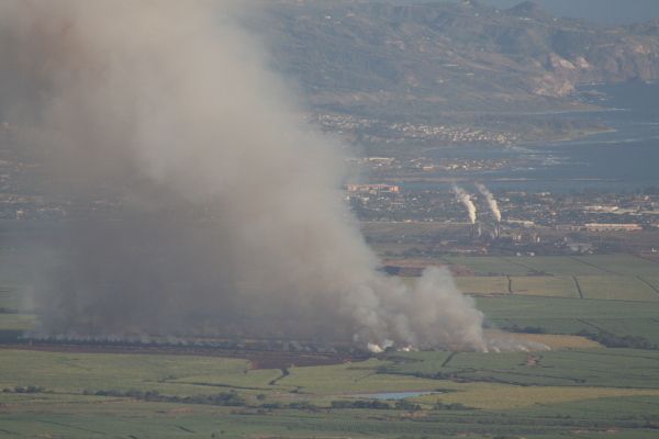 Sugarcane Burn near Kihei on Maui