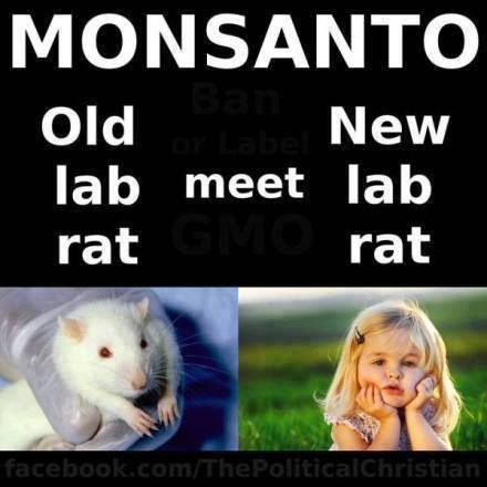  photo Hawaii's people are Monsanto's lab rats