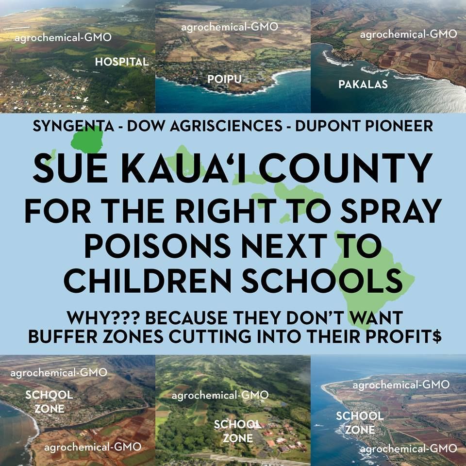 photo Sue Kaua'i County for the right to spray pesticides near schools