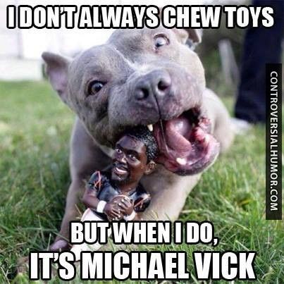  photo I-dont-always-chew-toys_zpsd4066dd0.jpg