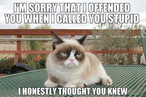 http://i1277.photobucket.com/albums/y493/Cara-jason/grumpy%20cat/4ed872883f5360dfed2fb42e082f59f0_zps4c24112e.jpg