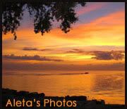 Aleta’s Photos