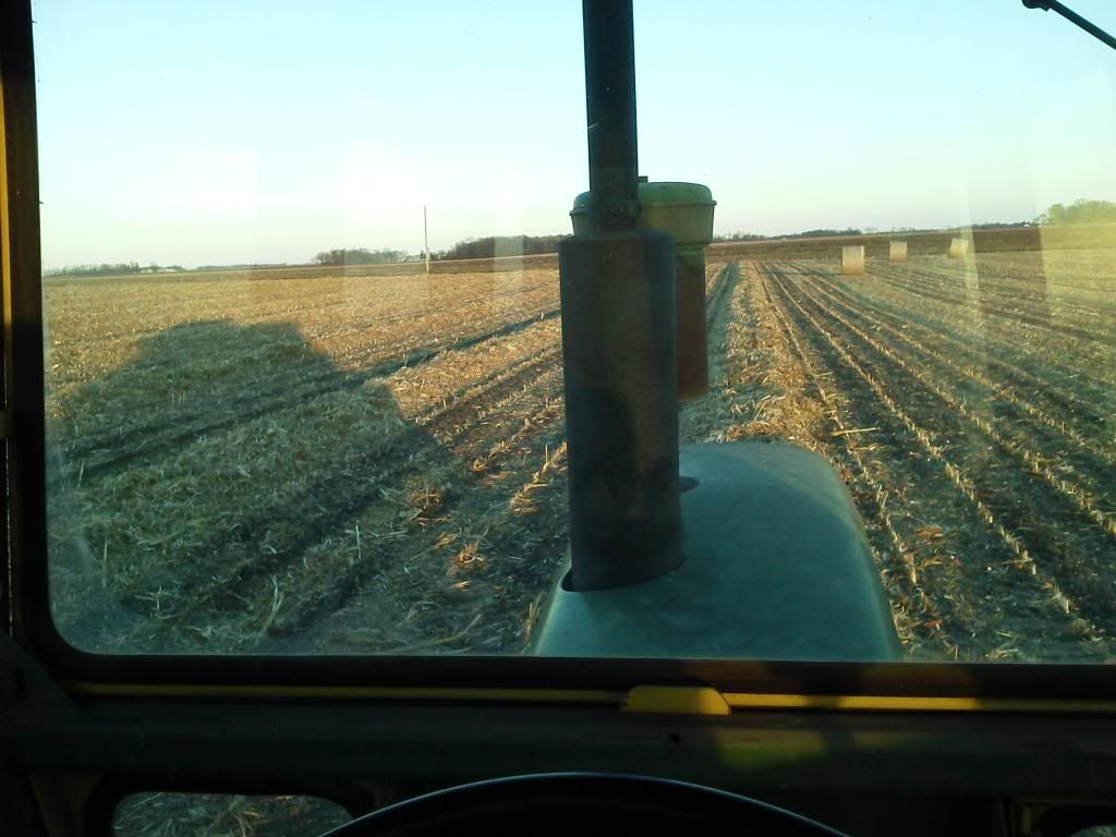 View of windrow from tractor