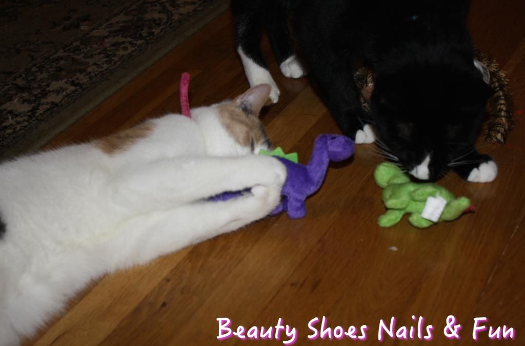 photo cattoys-2_zps600ae72a.jpg