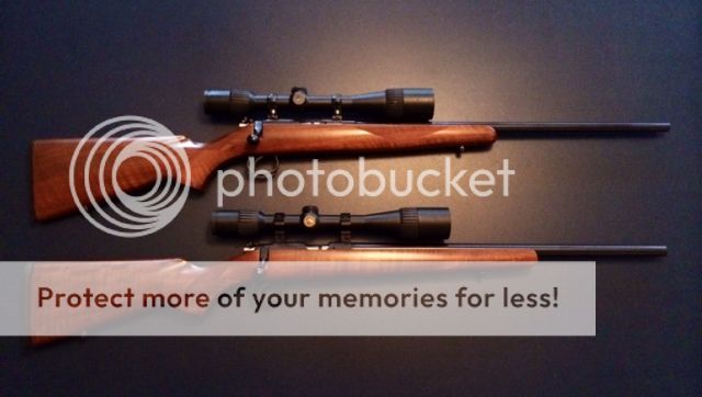 other rimfire guns .