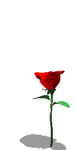 https://i1277.photobucket.com/albums/y486/dodo278/flower_66_zps3d4acbe9.gif