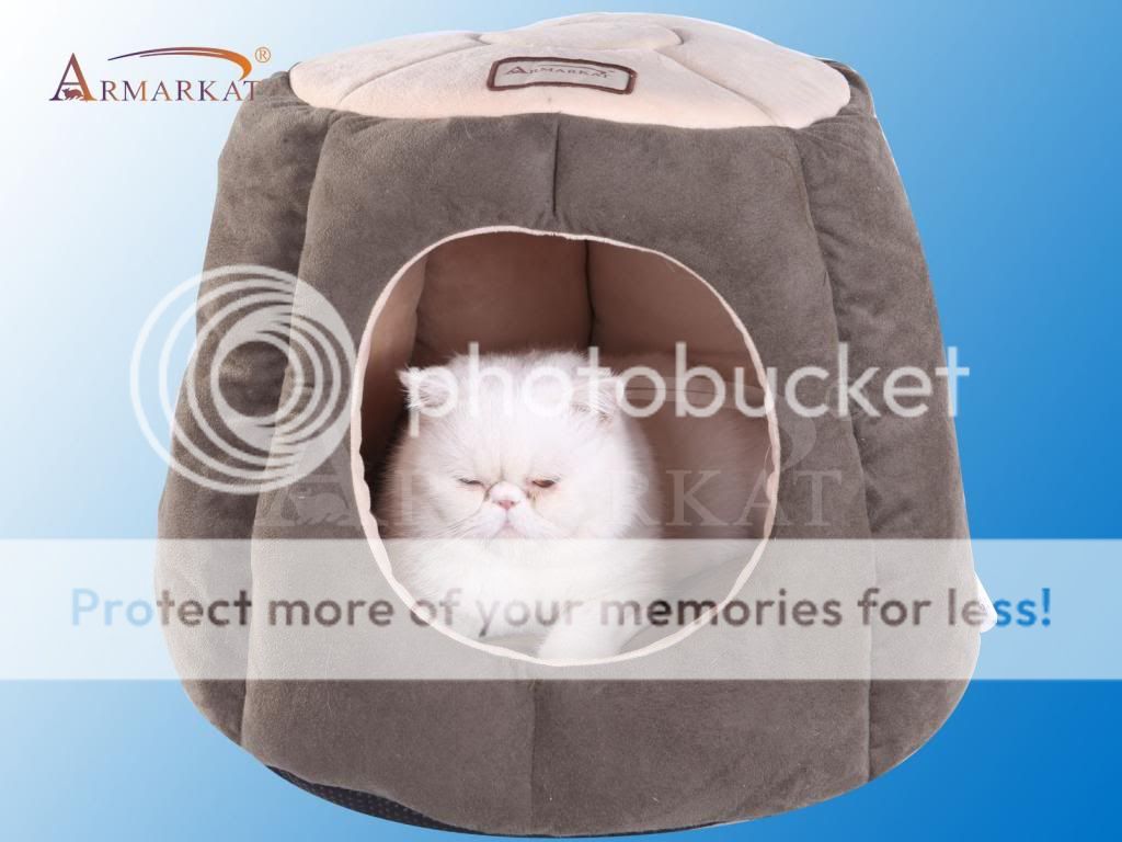 Armarkat New Design Hooded Pet Cat Bed Laurel Green Beige Padded Washable C30HML