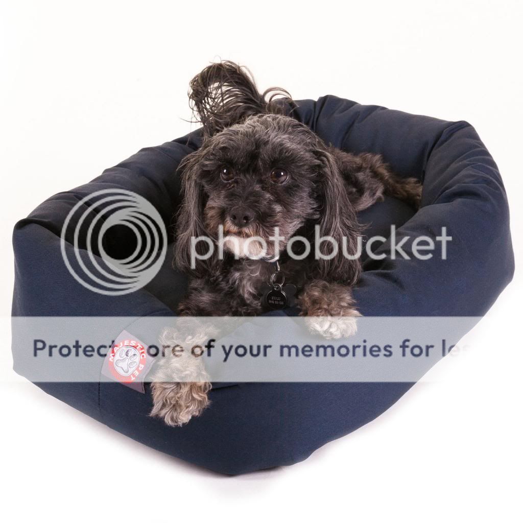 Majestic Pet New Bagel Style Pet Dog Bed Bolster Waterproof Base Machine Wash