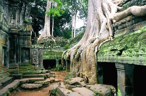 tour du lich campuchia, du lich ta prohm