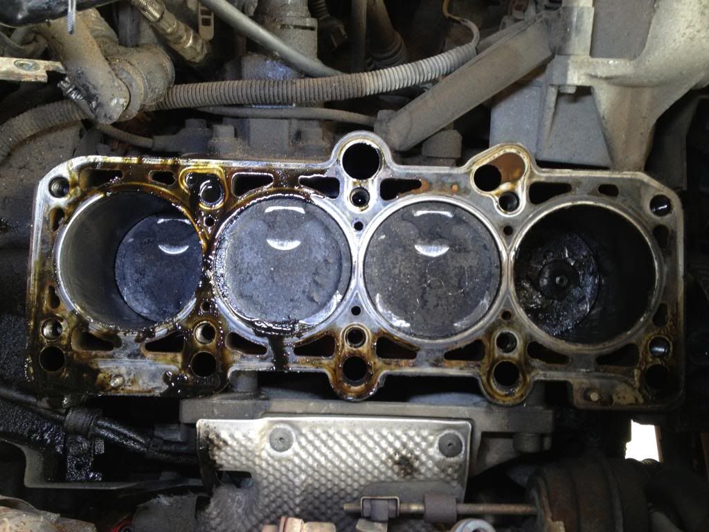 VWVortex.com - Piston Damage After Broken Timing Belt VWVortex.com - Piston Damage After Broken Timing Belt